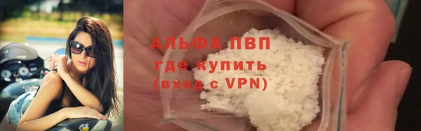 ешки Богданович