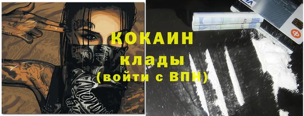 ECSTASY Богородицк