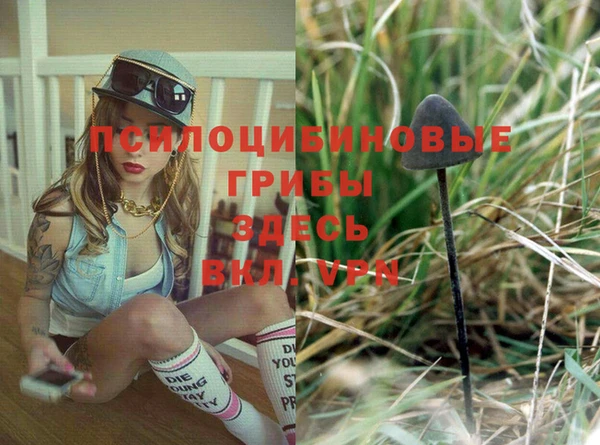 ALPHA PVP Белокуриха