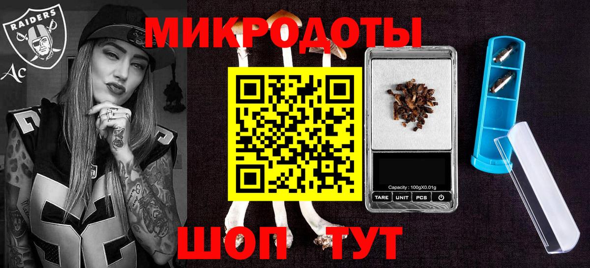Псилоцибиновые грибы Psilocybe Кушва