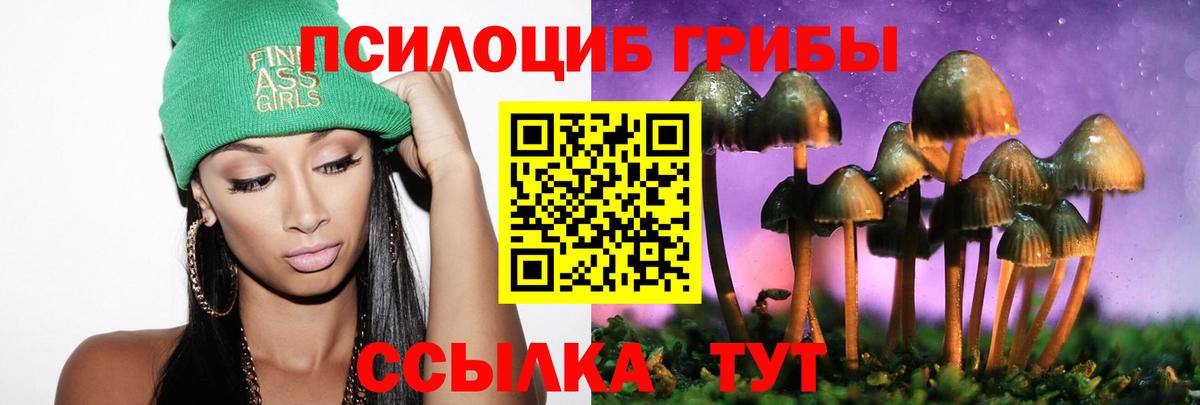 Кушва  Галлюциногенные грибы Cubensis  Вход с VPN 